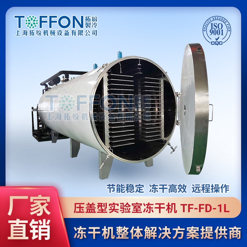 大型食品凍干機(jī) 竹筍冷凍干燥機(jī) TF-FZG-50