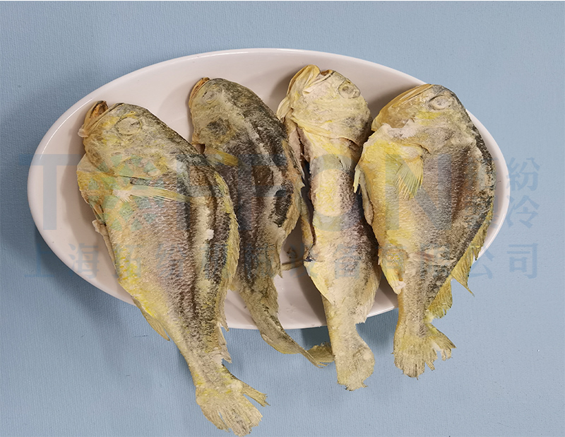 黃花魚(yú)凍干，食品凍干機(jī)應(yīng)用于黃花魚(yú)真空冷凍干燥