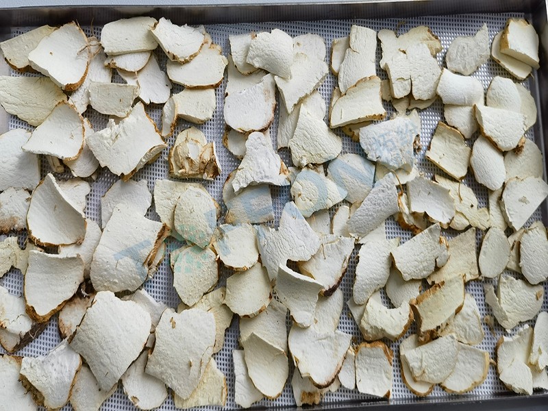 冷凍干燥機|凍干機|真空冷凍干燥機|大型冷凍干燥機|食品凍干機|制藥真空冷凍干燥機|食品凍干設(shè)備|制藥冷凍干燥機