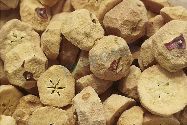 凍干海紅果：水果真空冷凍干燥機(jī)的應(yīng)用和特點