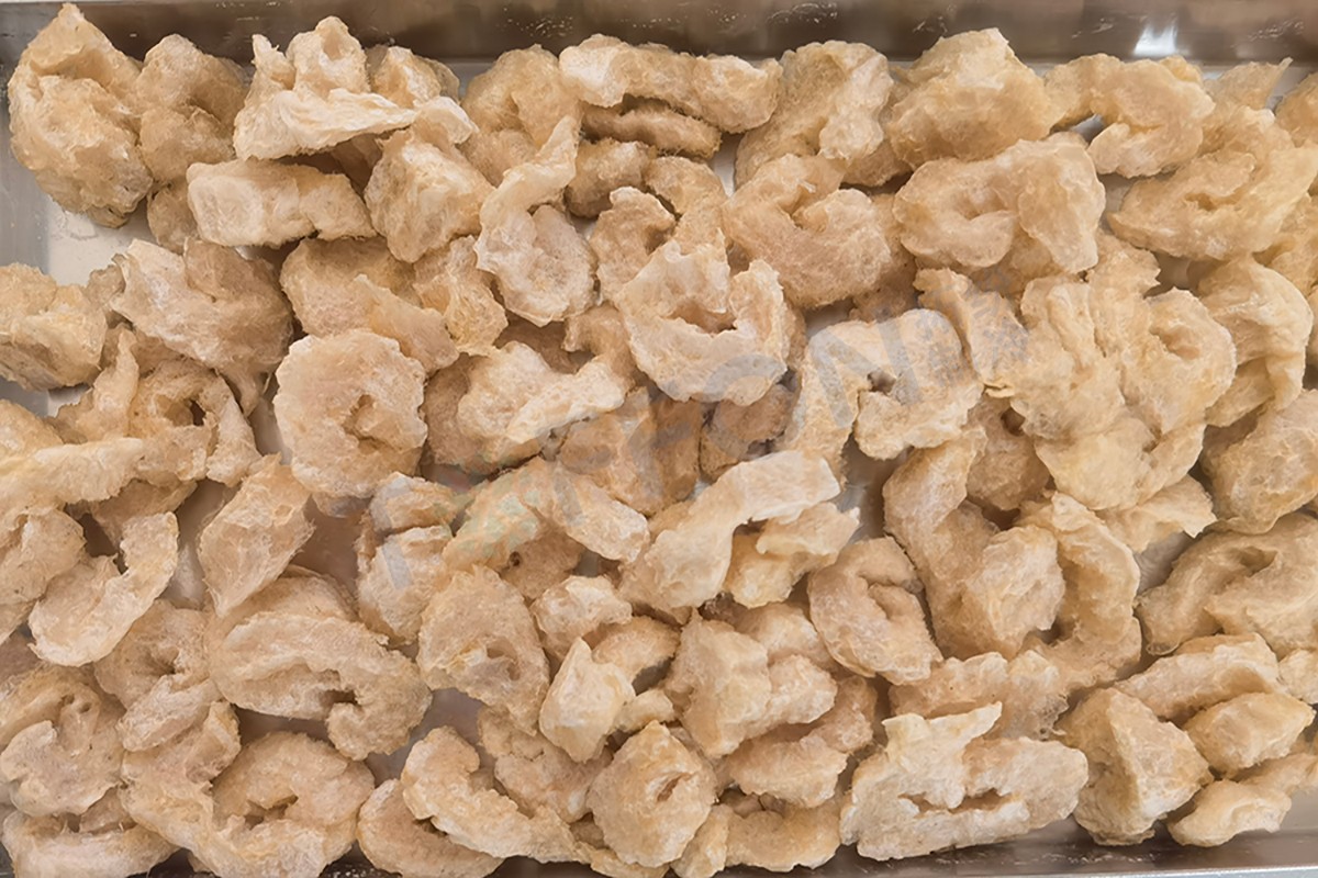 冷凍干燥機|凍干機|真空冷凍干燥機|大型冷凍干燥機|食品凍干機|制藥真空冷凍干燥機|食品凍干設備|制藥冷凍干燥機