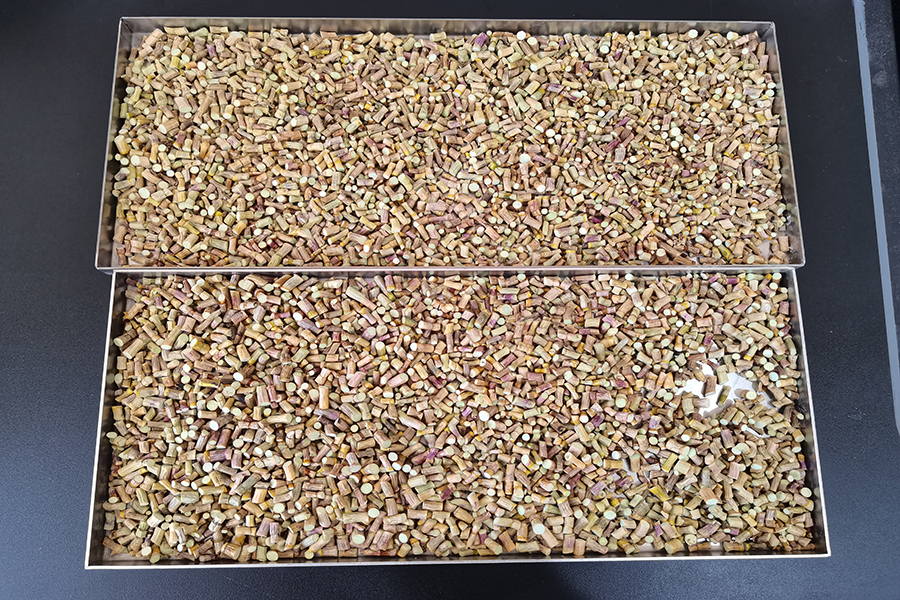 石斛凍干：凍干機應(yīng)用石斛冷凍干燥工藝流程