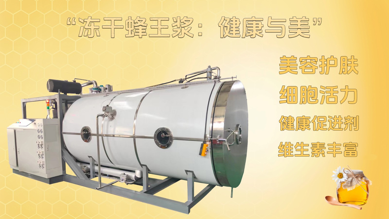 17333615416802.jpg 17333615416802.jpg