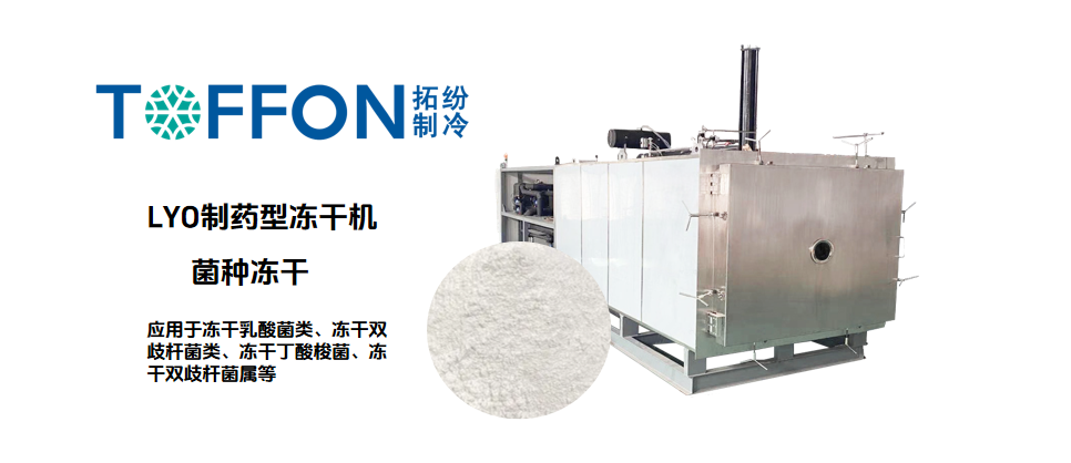 17532481113460.png 17532481113460.png