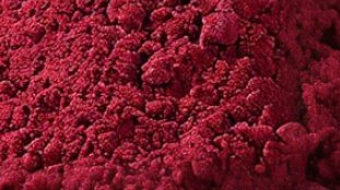 17645537982299.png 圖片 1.png