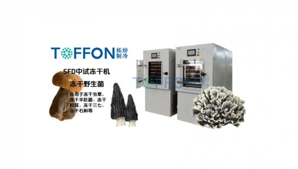 野生菌冷凍干燥機(jī)：高效加工與貯藏解決方案