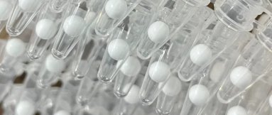 高端化妝品微球冷凍干燥機(jī)解決方案